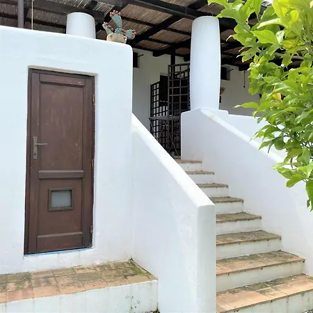 Corallo Malfa (Salina)