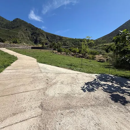 Corallo Malfa (Salina)